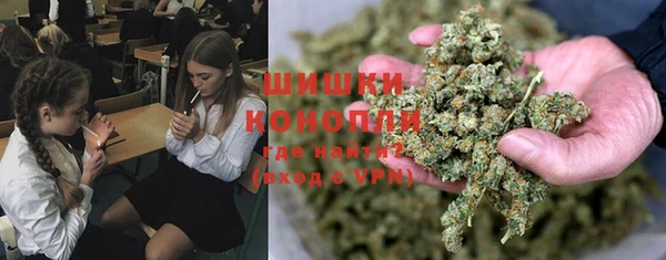 соль ск Алзамай