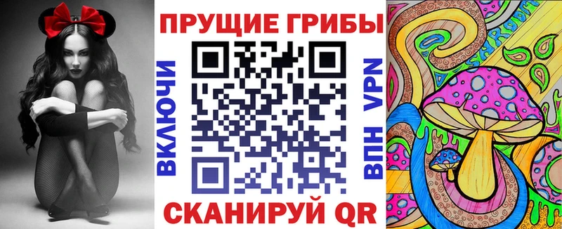 Купить где  Коркино  Псилоцибиновые грибы Magic Shrooms 
